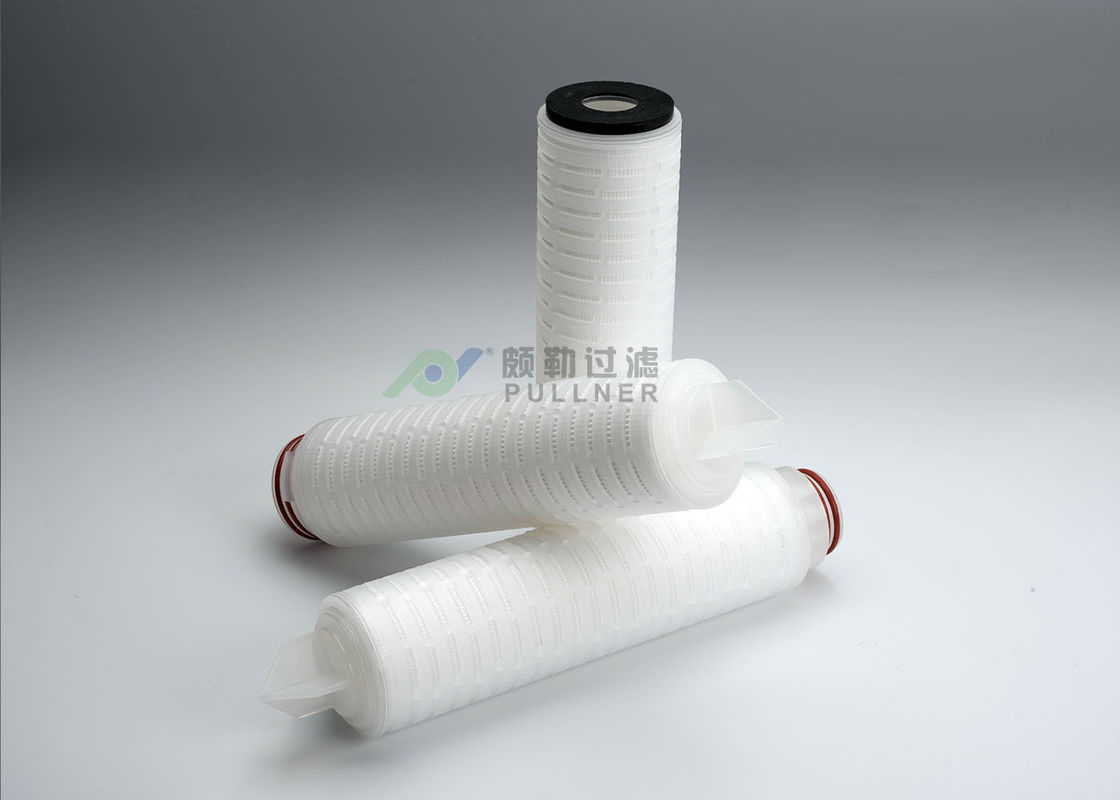 100 Integrity Test PTFE Membrane Filter Cartridge 0.22um Absolute Rating