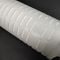 10&quot; 254mm 1.2m3/H Disposable Polypropylene Pleated Membrane Filter Cartridge