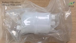 capsule filter 0.1um 
