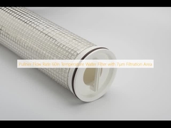 Pullner Flow Rate 60in Temperature Water Filter with 7μm Filtration Area
