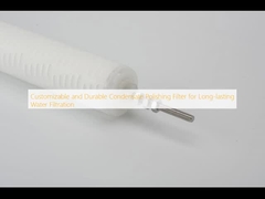 Customizable and Durable Condensate Polishing Filter for Long-lasting Water Filtration