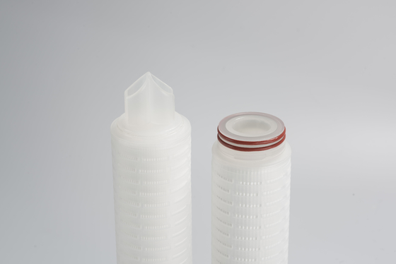 Double 0.22 Micron PES Membrane Filter Cartridge For Food Beverage Industry Filtration