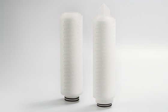 PTFE Membrane Filter Cartridge with Hydrophobic and Hydrophilic PTFE Membrane for Corrosion Resistant Filtration