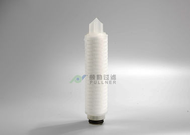 Hydrophobic Membrane Pharmaceutical Filters 10&quot; PVDF Pleated 0.1um 0.22um 0.45um