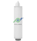 Beverage Pharmaceutical PES Filter Cartridge 10" Length