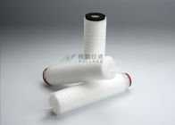 100% Integrity Test PTFE Membrane Filter Cartridge 0.22um Absolute Rating