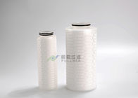 0.22um 10" PVDF PES PTFE Microelectronics Filter Membrane Pleated Water Gas Filters