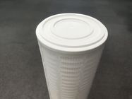 Non Adhesive Food Grade PP 6" Absolute Pleated Filter Element