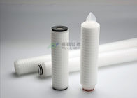 10" Microelectronics Pleated Membrane Filter Cartridge 0.4 - 0.7m2 Filtration Area
