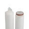 0.1 - 20um Series PP Pleated Filter Cartridge For RO Water Treatment Security Filter