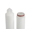Flow Rate 1-1.2m3/h Polyester Pleated Filter Cartridge For Heavy Duty Applications