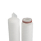 0.2m2 PVDF Filter Cartridge With Hydrophilic Hydrophobic Membrane Filter