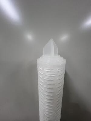 PTFE Membrane Filter Cartridge with Hydrophobic and Hydrophilic PTFE Membrane for Corrosion Resistant Filtration