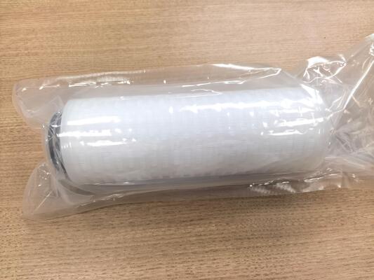 PLPP Series Ultra High Dirt Holding Capacity Pleated Filter Cartridge with Gradient Pore Size Design and Broad Chemical Compatibility
