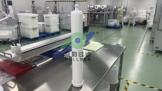 20inch Integrated Sacclar Filter Cartridge for New Energy Applications