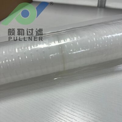 20'' High Flow PES Membrane Filter Cartridge with 0.05um Retention Rating for Microelectronics Filtration