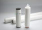 0.22um Pharma Filters PES Pleated Filter Element High Purity Water Rinse