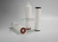 100% Integral Test Gas and Air Absolute Filtration Filter Cartridge Competitive Price FREE sample