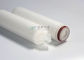 2.7&quot; 0.1-20um 40 Inches Absolute Rating Pp Pleated Sediment Filter