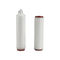 Pharmaceutical Industry PP Pleated 0.45 Micron PES Filters Cartridge